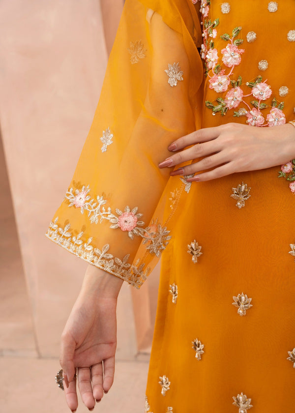 3 Piece Stitched Ladies Dress
