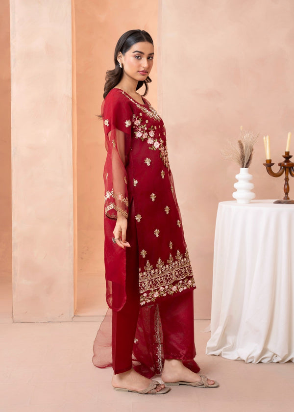 3 Piece Stitched Ladies Dress
