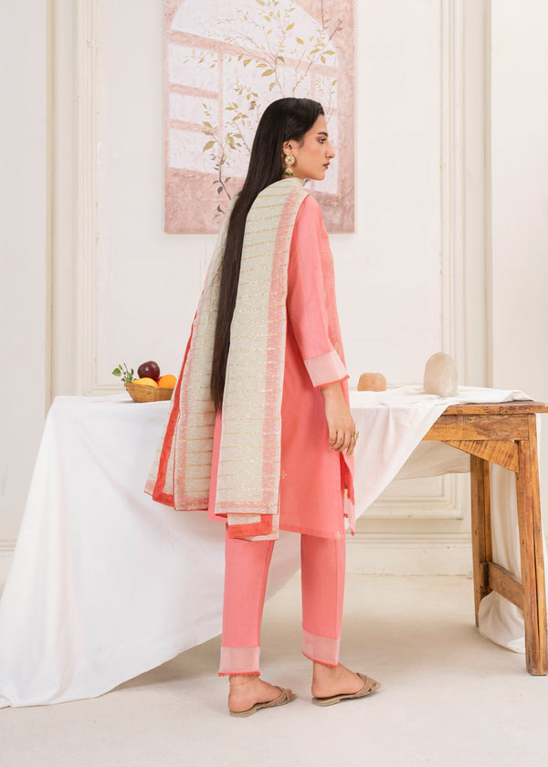 3 Piece Stitched Ladies Dress