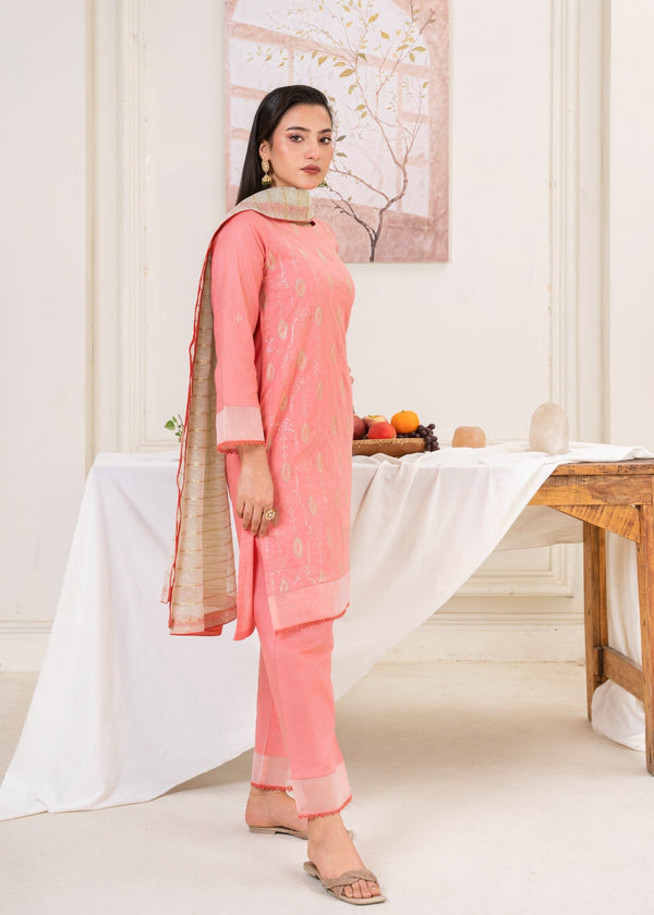 3 Piece Stitched Ladies Dress