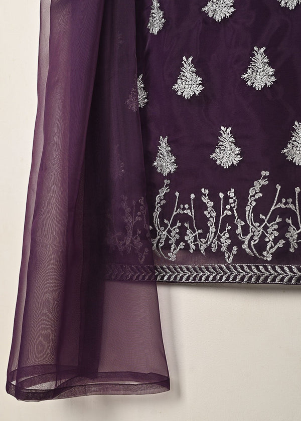 3 Piece Stitched Ladies Dress