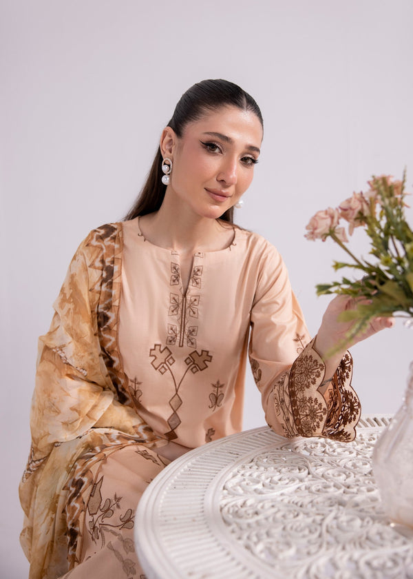 3 Piece Stitched Ladies Dress