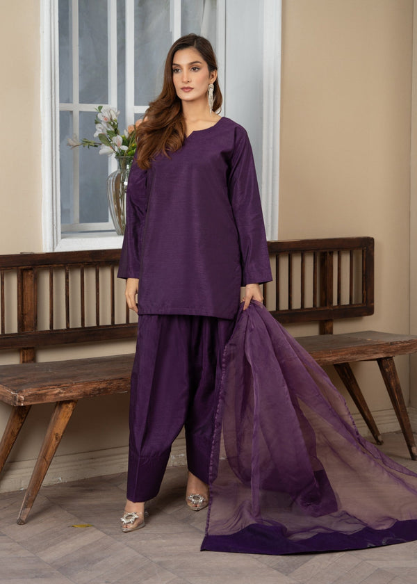 3 Piece Stitched Ladies Dress