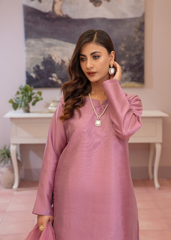 3 Piece Stitched Ladies Dress