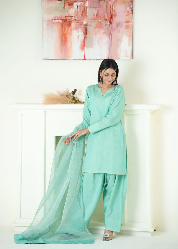 3 Piece Stitched Ladies Dress