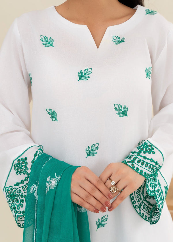 3 Piece Stitched Ladies Dress