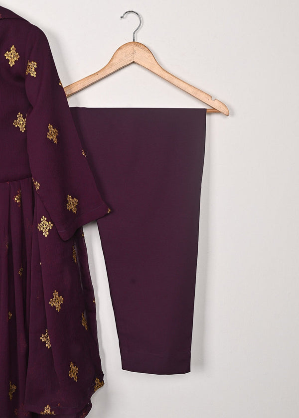 3 Piece Stitched Ladies Dress