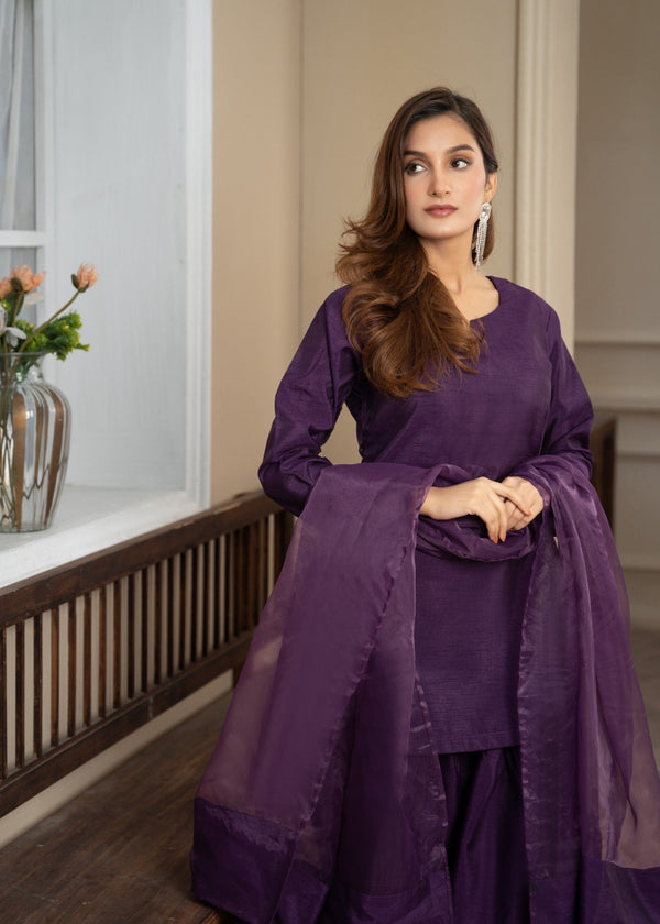 3 Piece Stitched Ladies Dress