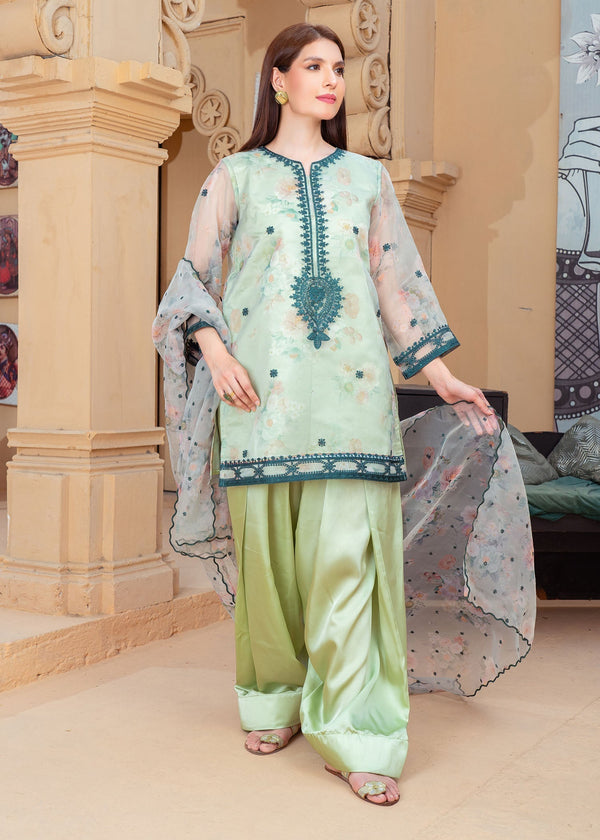 3 Piece Stitched Ladies Dress