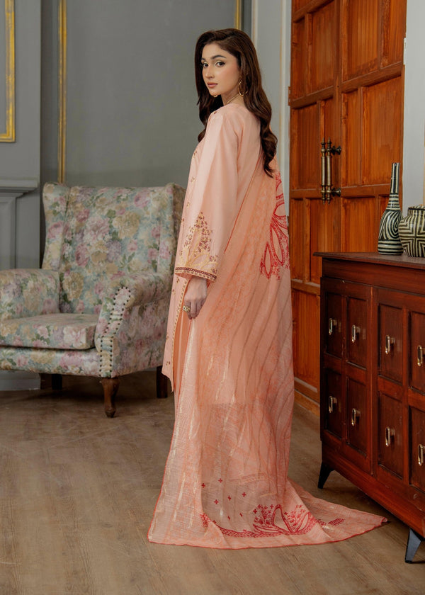 3 Piece Stitched Ladies Dress