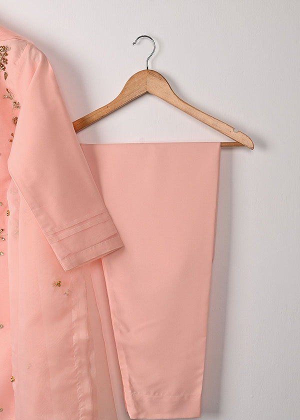 3 Piece Stitched Ladies Dress