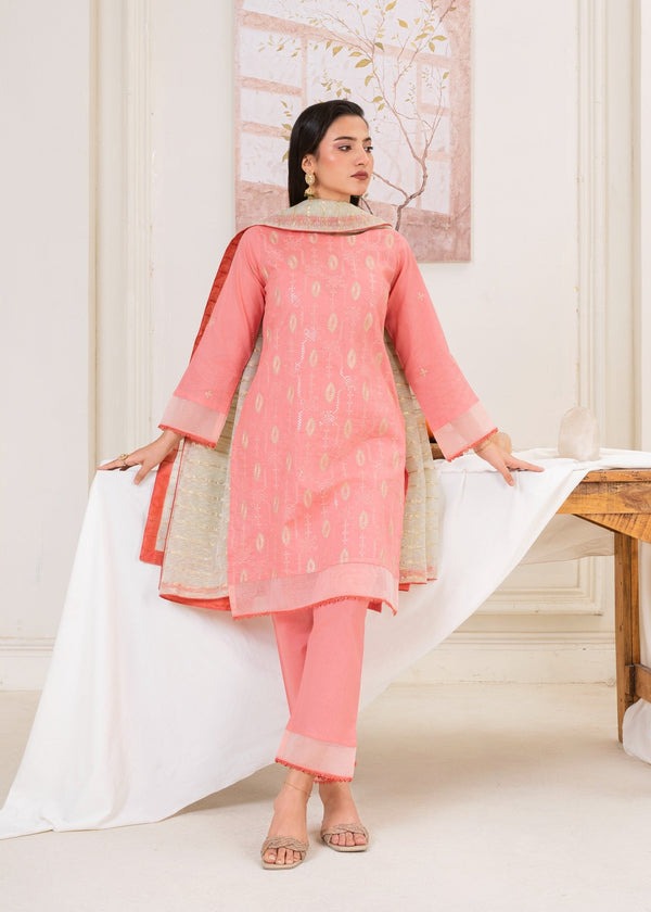 3 Piece Stitched Ladies Dress