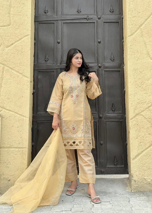 3 Piece Stitched Ladies Dress