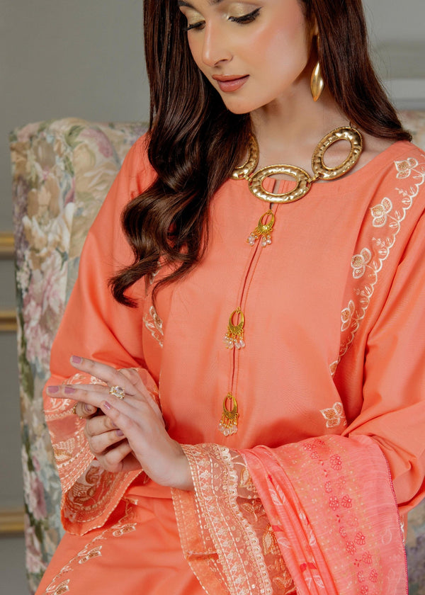 3 Piece Stitched Ladies Dress