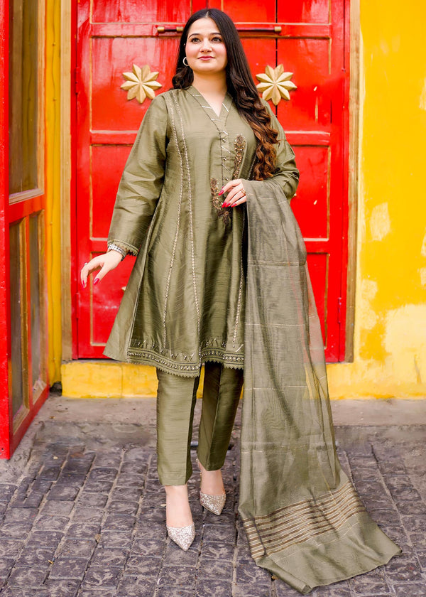3 Piece Stitched Ladies Dress