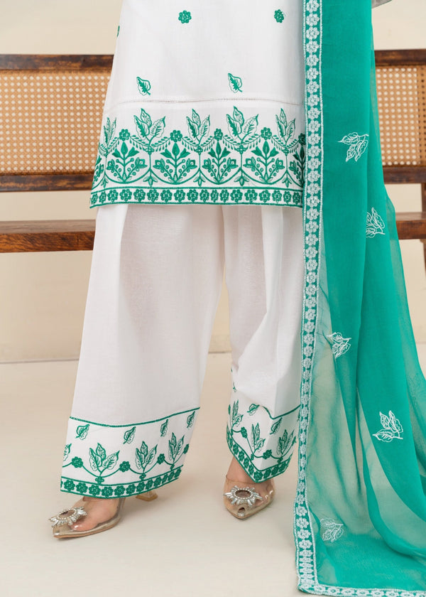 3 Piece Stitched Ladies Dress