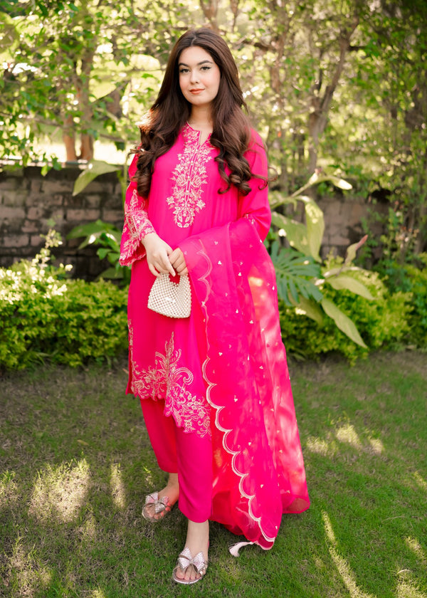 3 Piece Stitched Ladies Dress