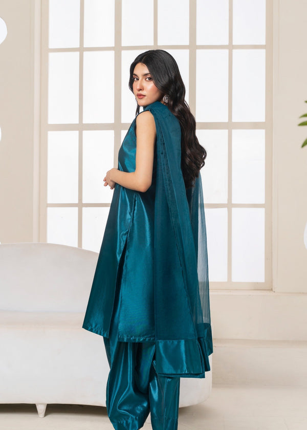 3 Piece Stitched Ladies Dress