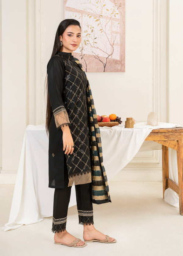 3 Piece Stitched Ladies Dress