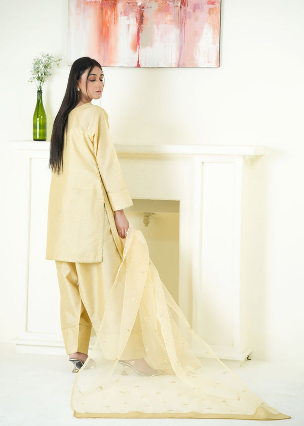 3 Piece Stitched Ladies Dress
