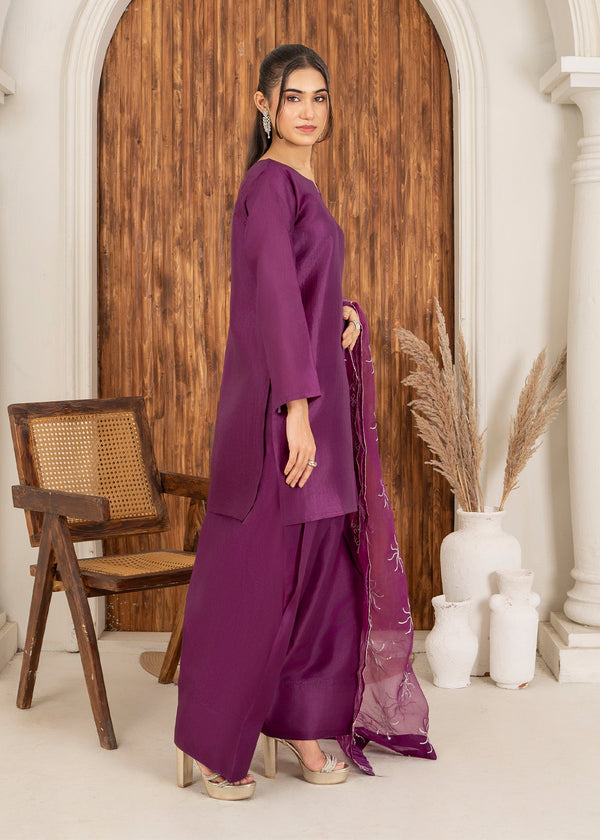 3 Piece Stitched Ladies Dress