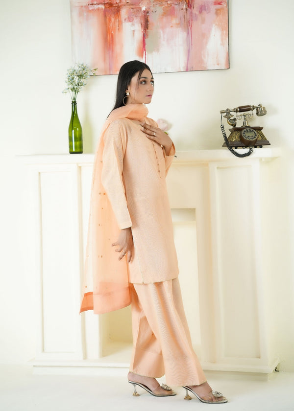 3 Piece Stitched Ladies Dress