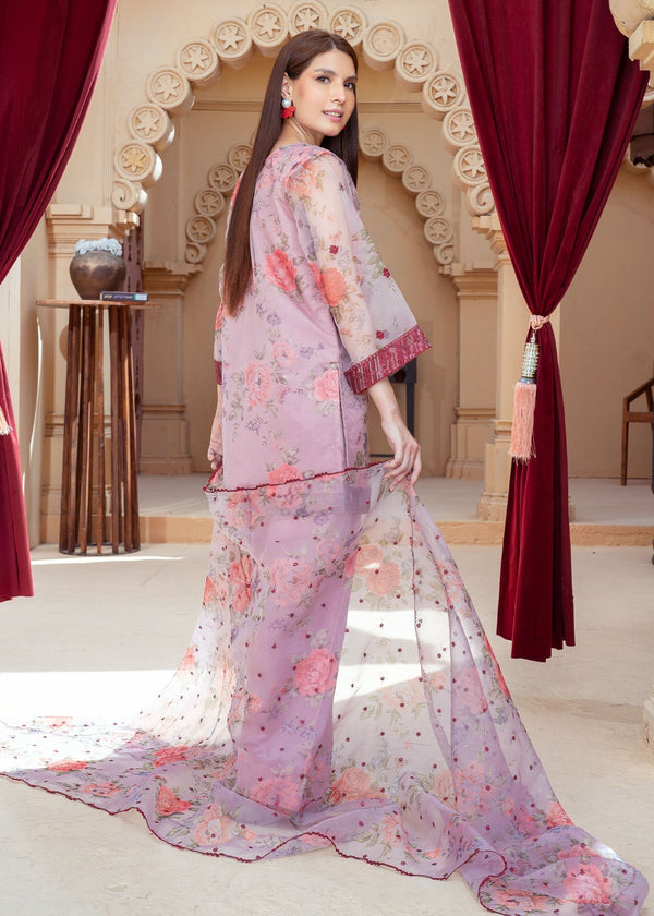 3 Piece Stitched Ladies Dress