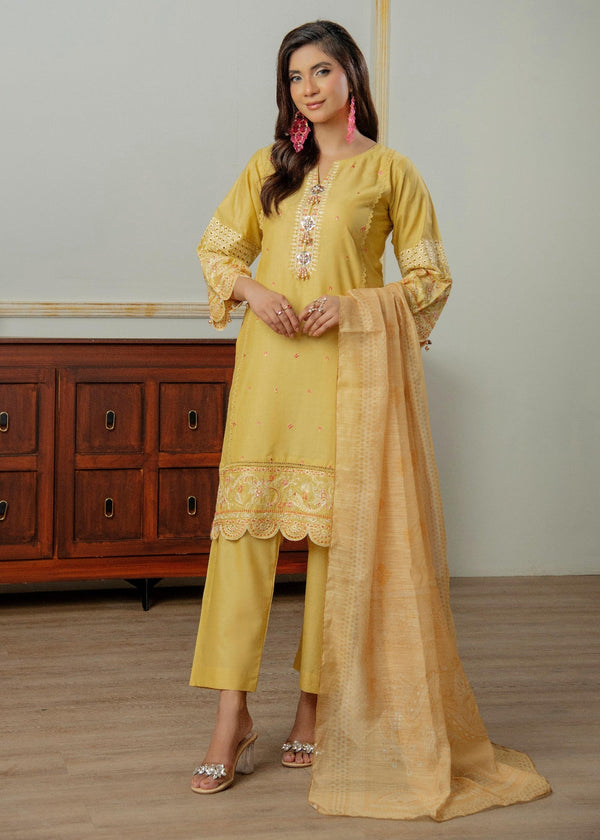 3 Piece Stitched Ladies Dress