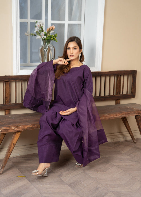 3 Piece Stitched Ladies Dress