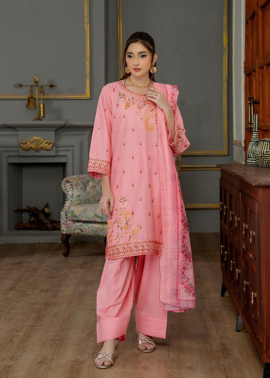3 Piece Stitched Ladies Dress
