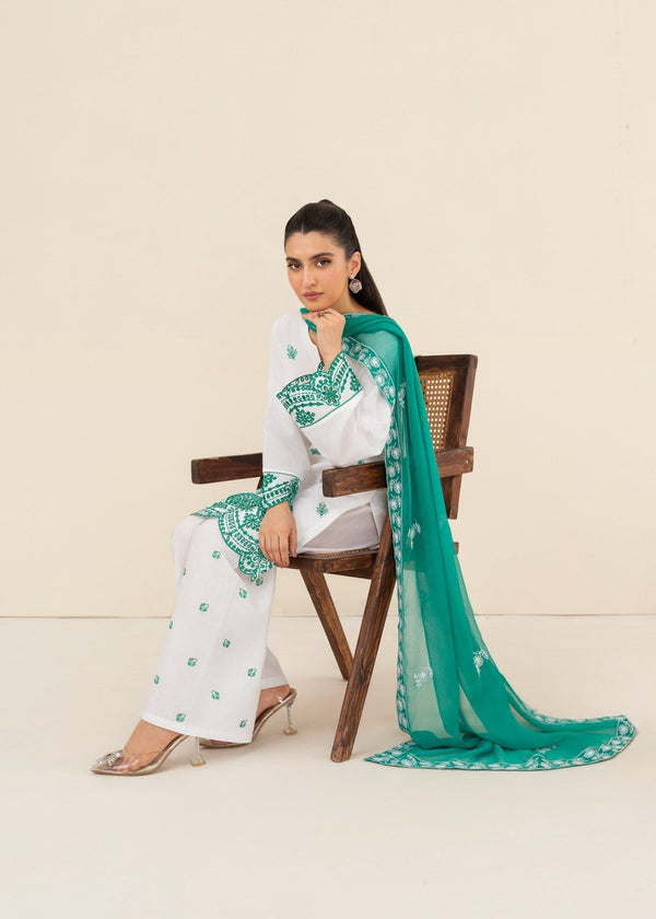 3 Piece Stitched Ladies Dress