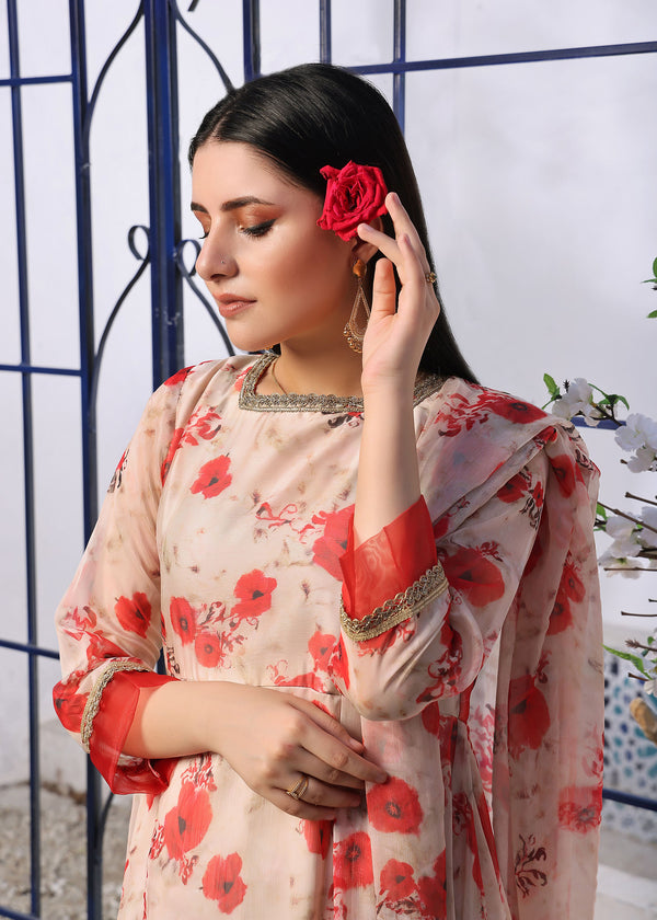 3 Piece Stitched Ladies Dress