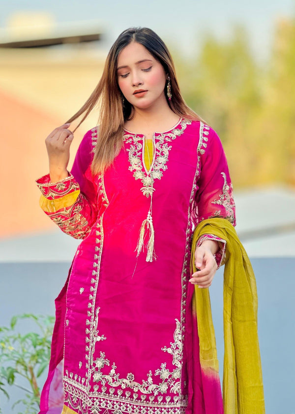 3 Piece Stitched Ladies Dress