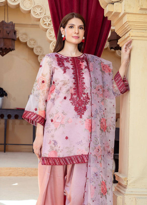 3 Piece Stitched Ladies Dress