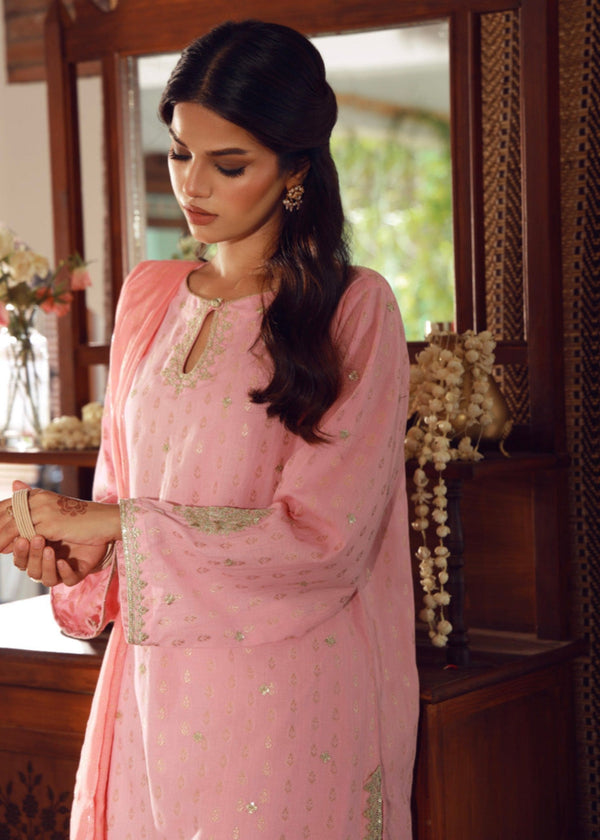 3 Piece Stitched Ladies Dress