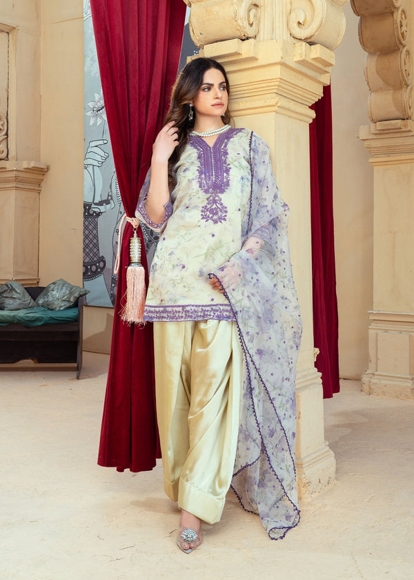 3 Piece Stitched Ladies Dress
