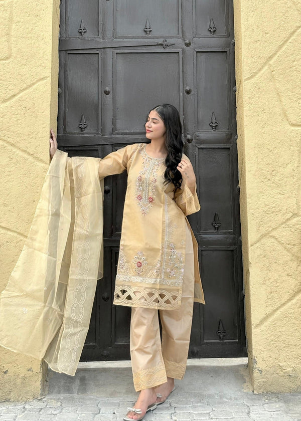 3 Piece Stitched Ladies Dress