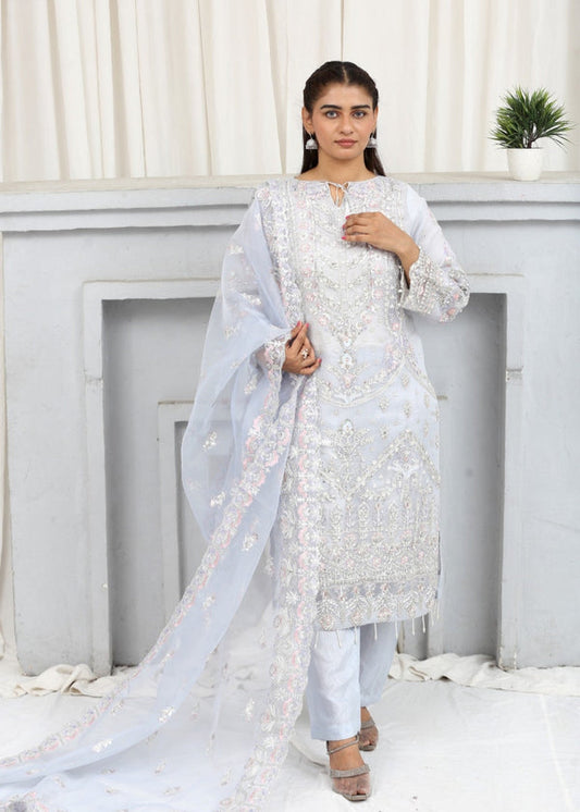 3 Piece Stitched Ladies Dress