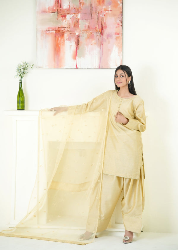 3 Piece Stitched Ladies Dress