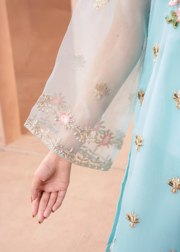 3 Piece Stitched Ladies Dress