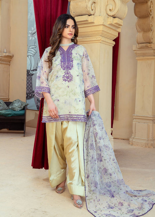 3 Piece Stitched Ladies Dress