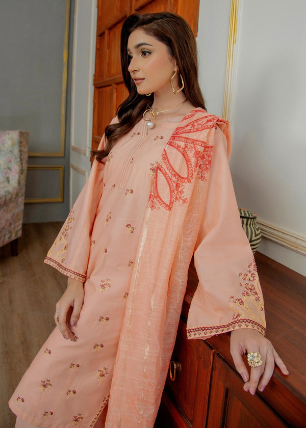 3 Piece Stitched Ladies Dress
