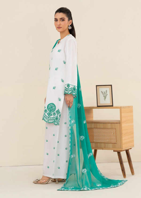 3 Piece Stitched Ladies Dress