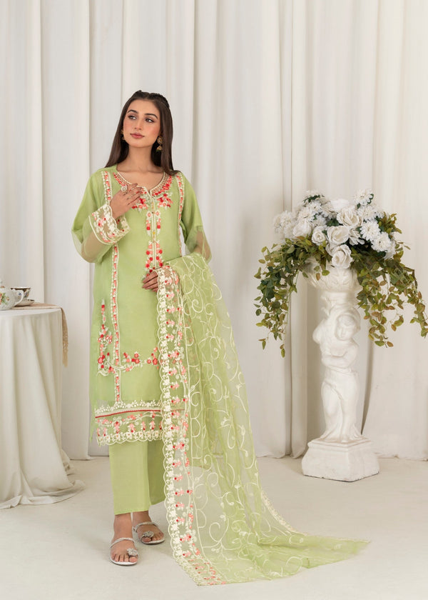 3 Piece Stitched Ladies Dress