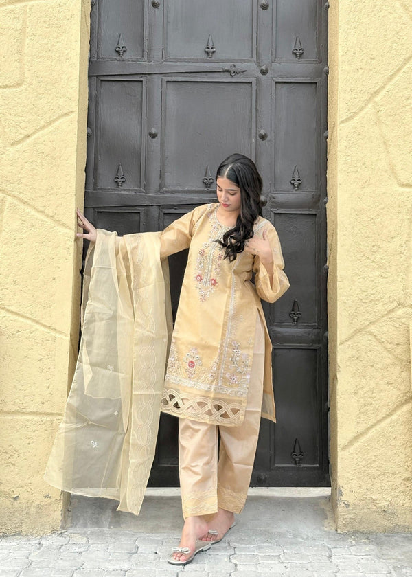 3 Piece Stitched Ladies Dress