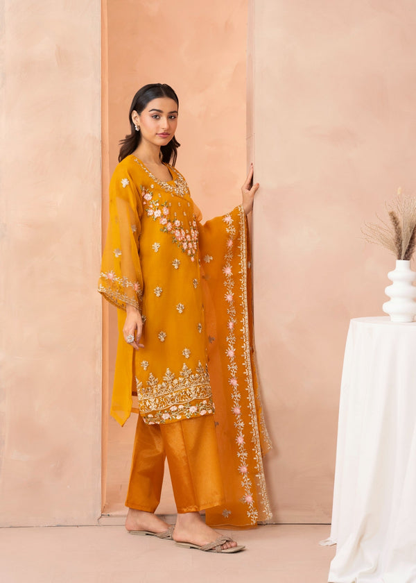 3 Piece Stitched Ladies Dress