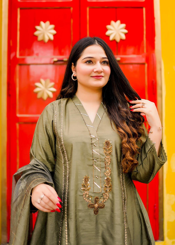 3 Piece Stitched Ladies Dress