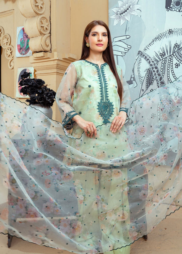 3 Piece Stitched Ladies Dress