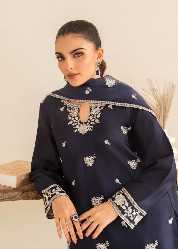 3 Piece Stitched Ladies Dress