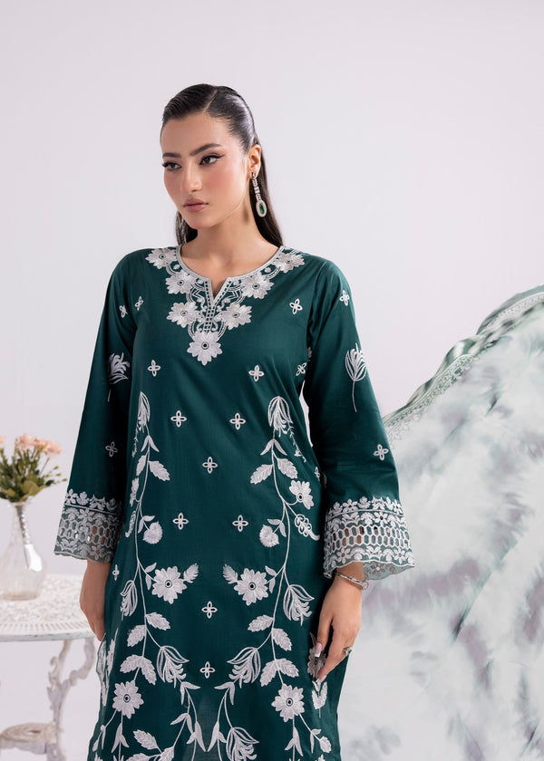 3 Piece Stitched Ladies Dress